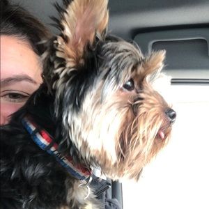 Meet your Posher, Amy